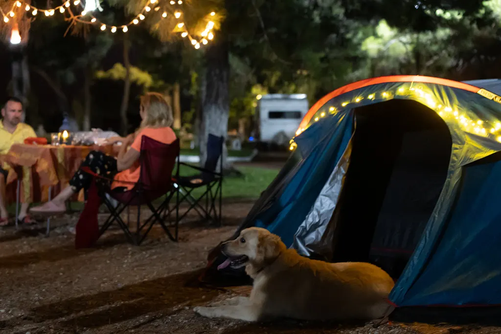 Dog and family and RV campground at night